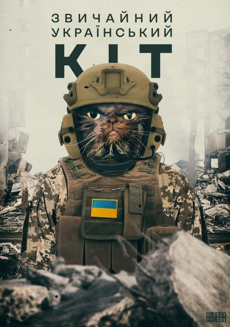 Суворий котисько з Бородянки став символом української незламності 9