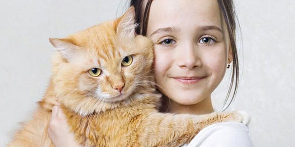 Який нині день: свята й іменинники 30 травня 3