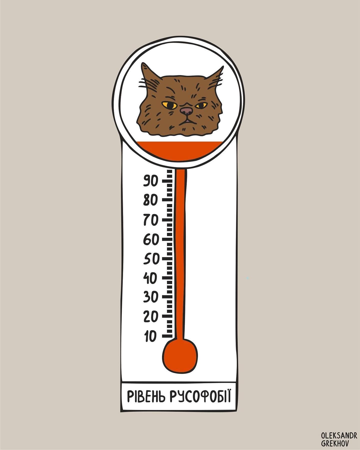 Суворий котисько з Бородянки став символом української незламності 10