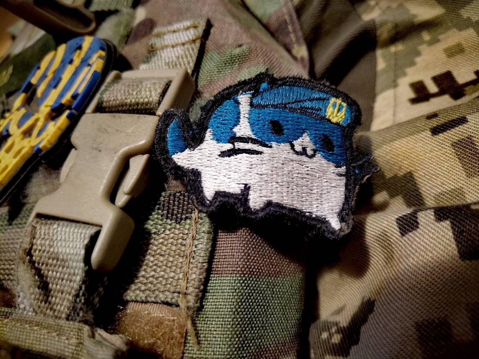 "Морські котики", зі святом вас! 1