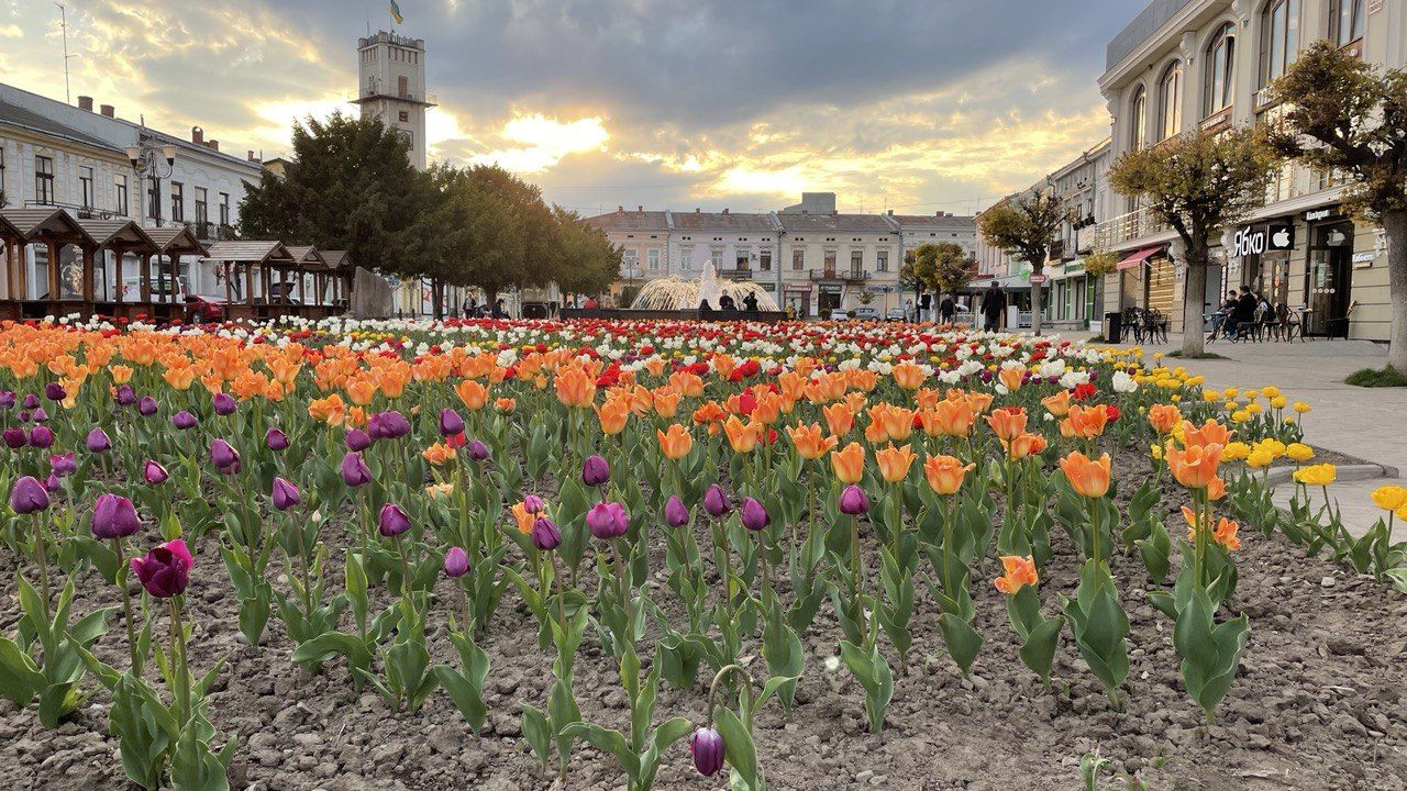 Коломия: що відвідати 14 травня