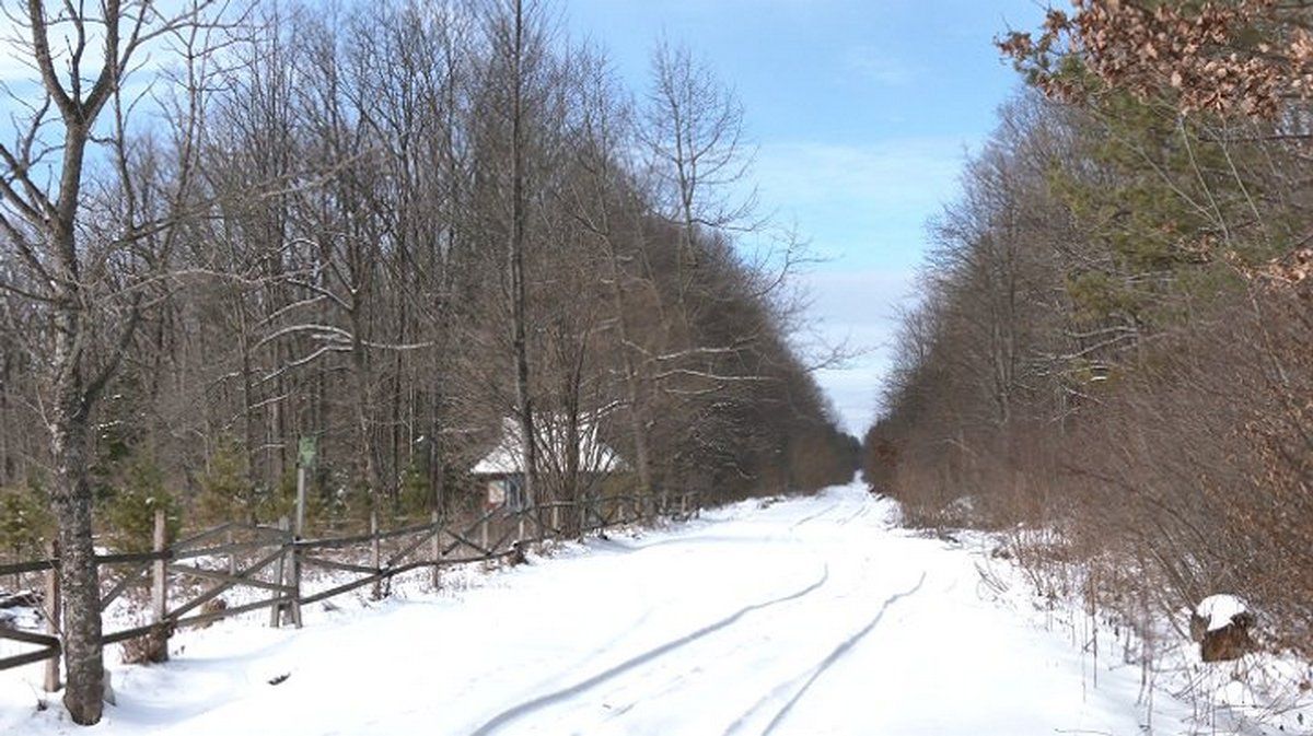 Чи виживе ідея героїв: що буде з Центром патріотичного виховання в Кубаївці 7