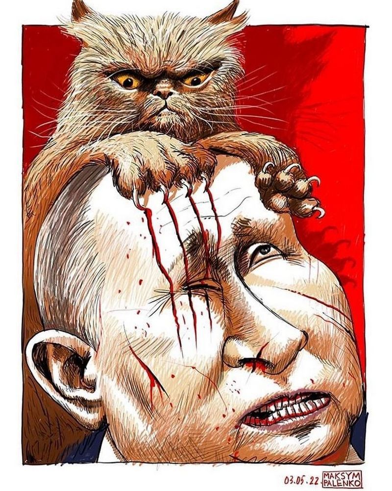 Суворий котисько з Бородянки став символом української незламності 7