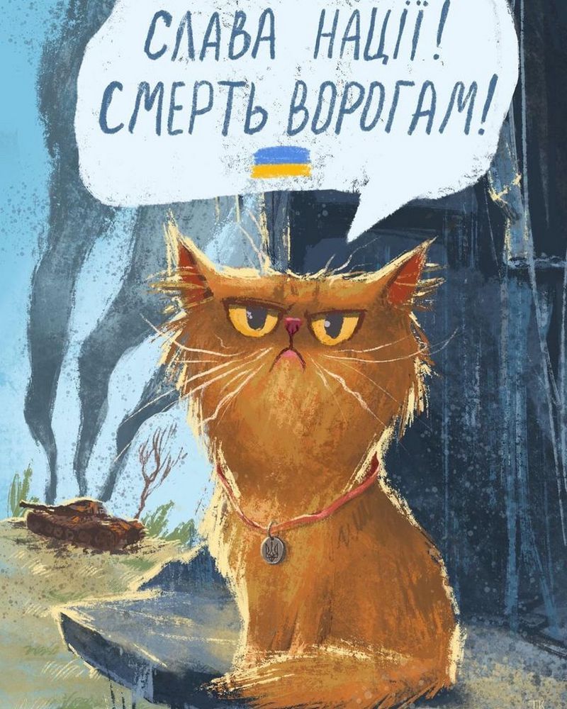 Суворий котисько з Бородянки став символом української незламності 8