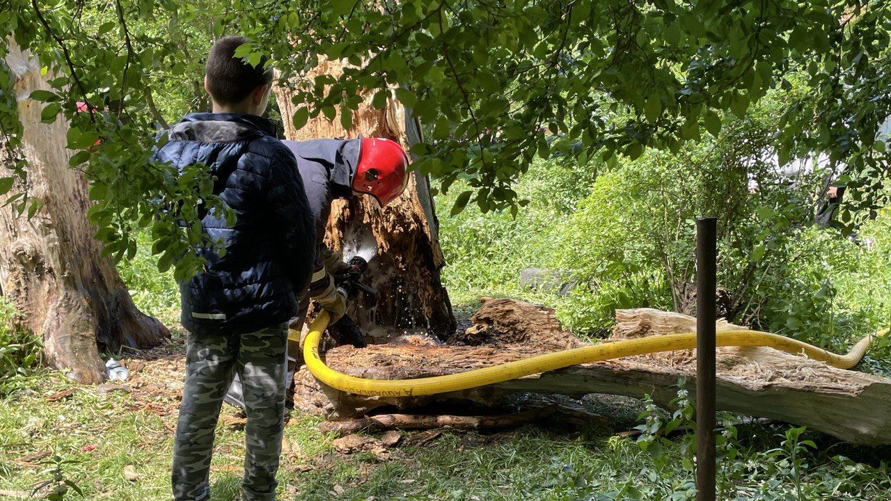 У Коломиї на Чайковського горіло дерево 1