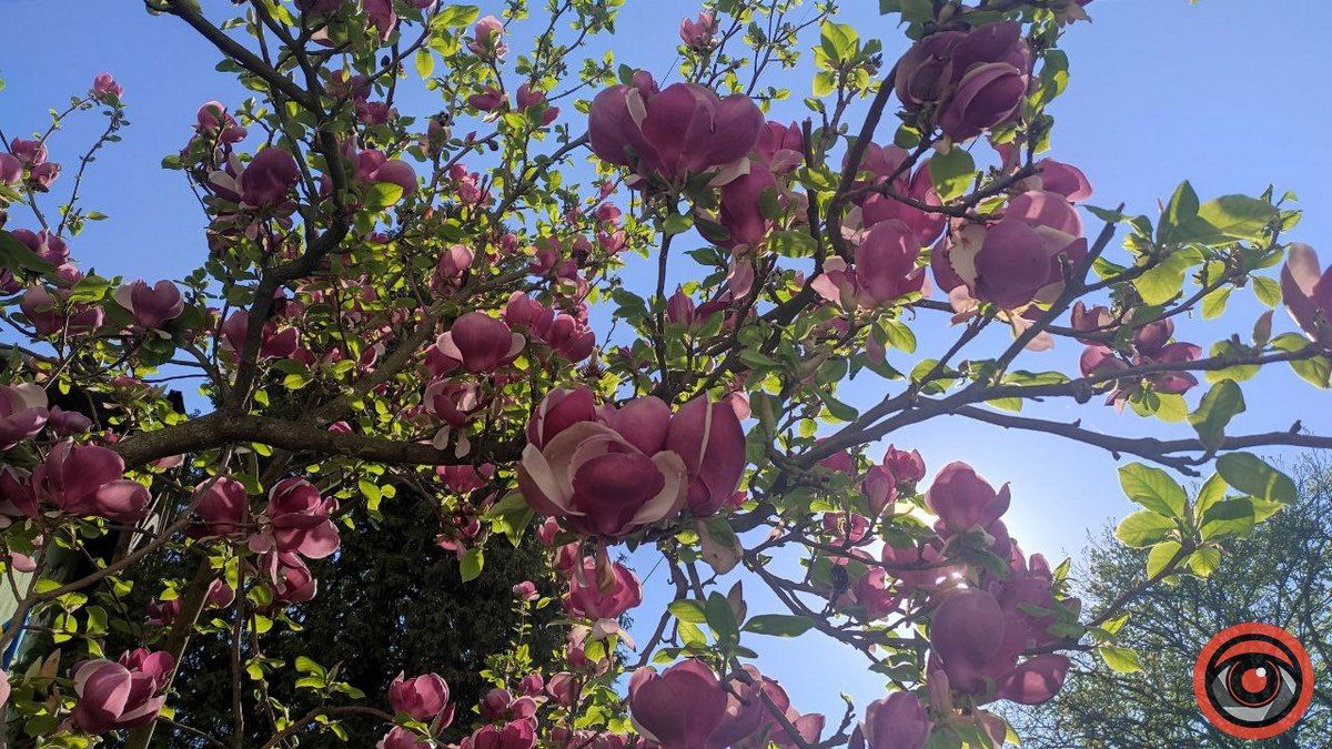 Сонце визирнуло з-за хмар: погода у Коломиї