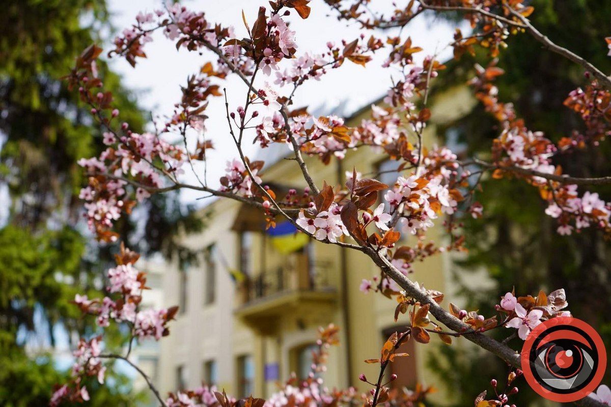 Вітання, Станіславове! Ти нам подобаєшся! 3