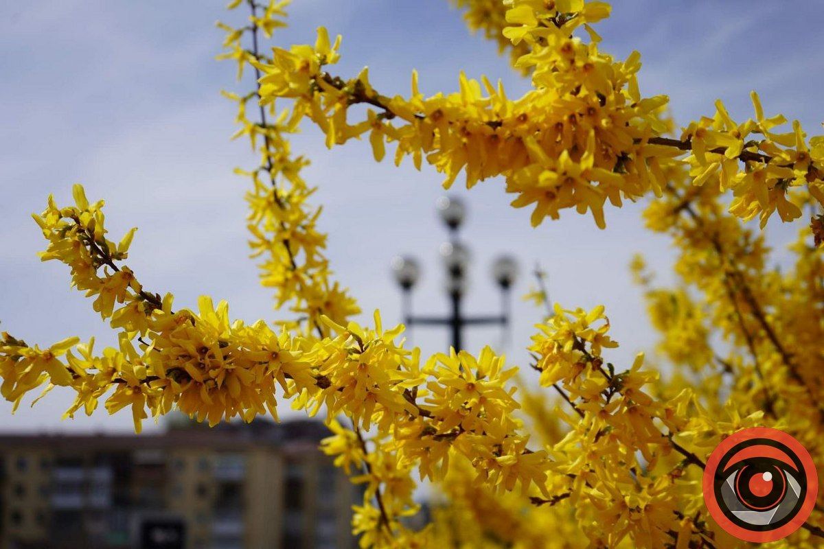 Вітання, Станіславове! Ти нам подобаєшся! 7