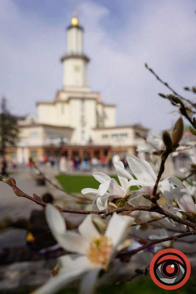 Вітання, Станіславове! Ти нам подобаєшся! 8