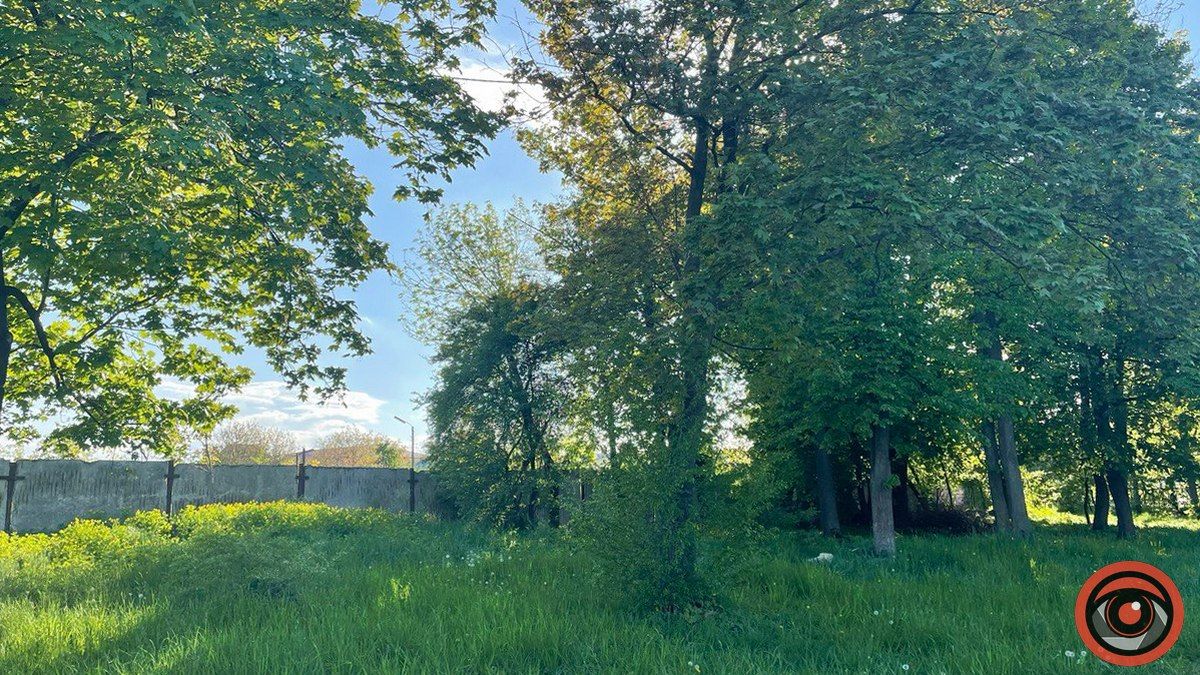 А де тут можна? Міське озеро в Коломиї без туалетів 3