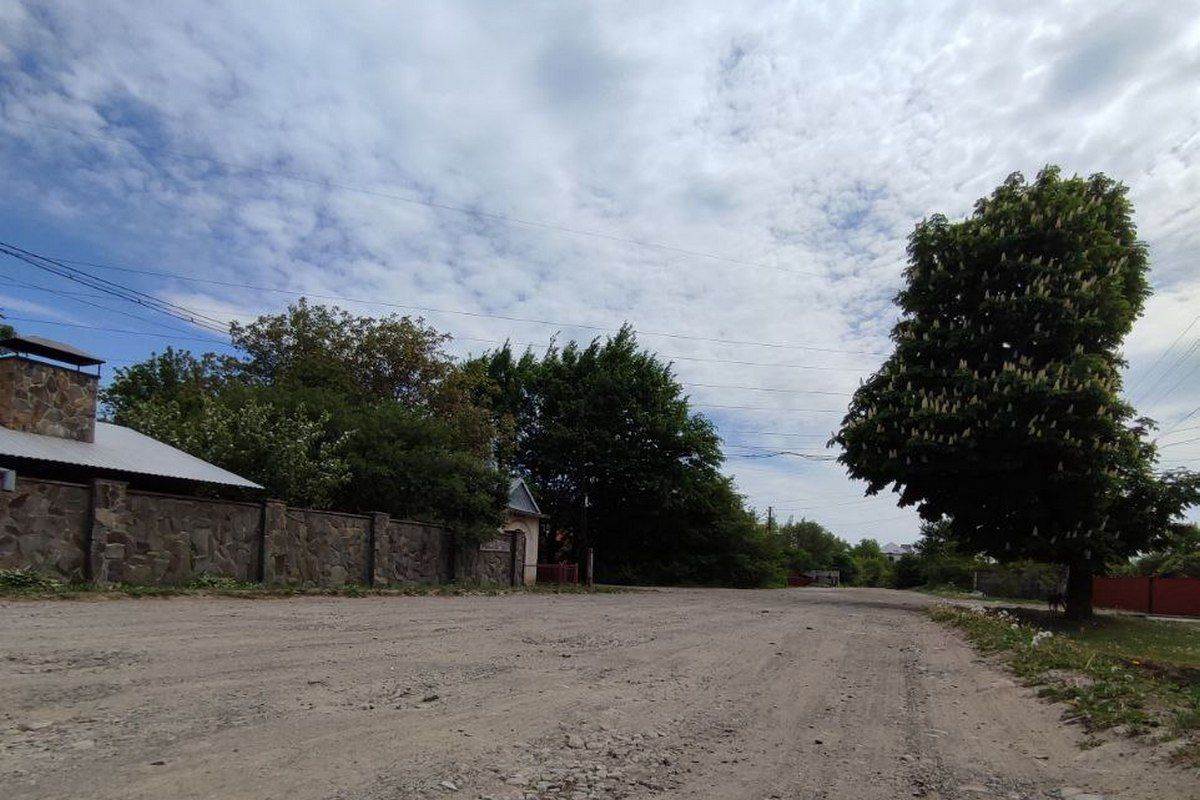 Історія переіменувань: вул. Пушкіна й німецький Баґінсберґ 4