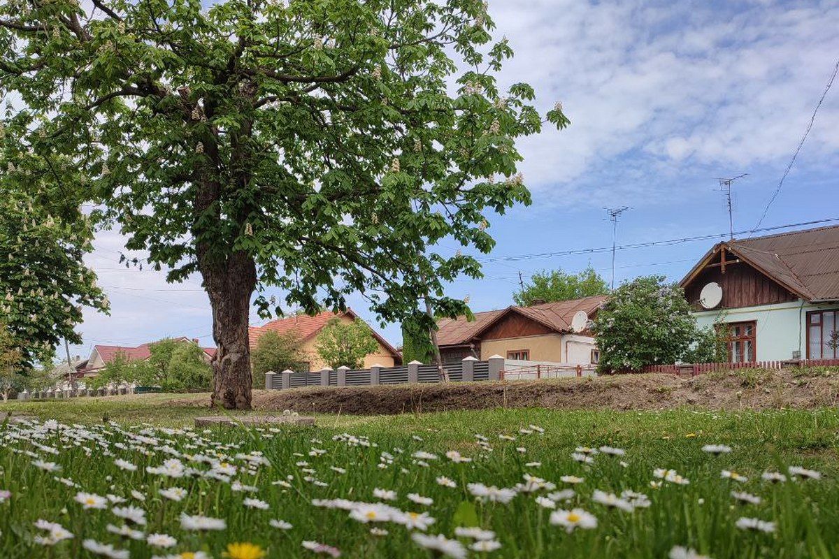 Історія переіменувань: вул. Пушкіна й німецький Баґінсберґ 1