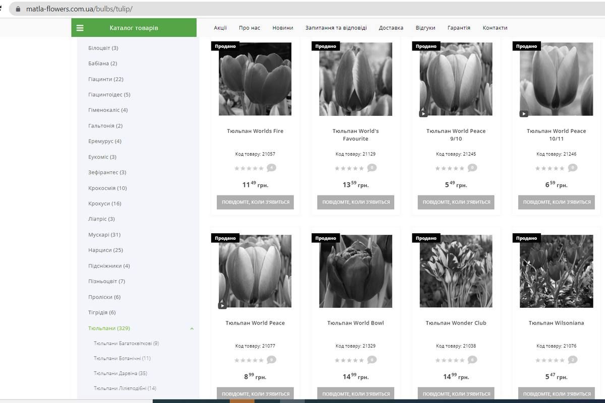 Шановна клумба: тюльпани за 112 тис. грн й нові чорнобривці 3