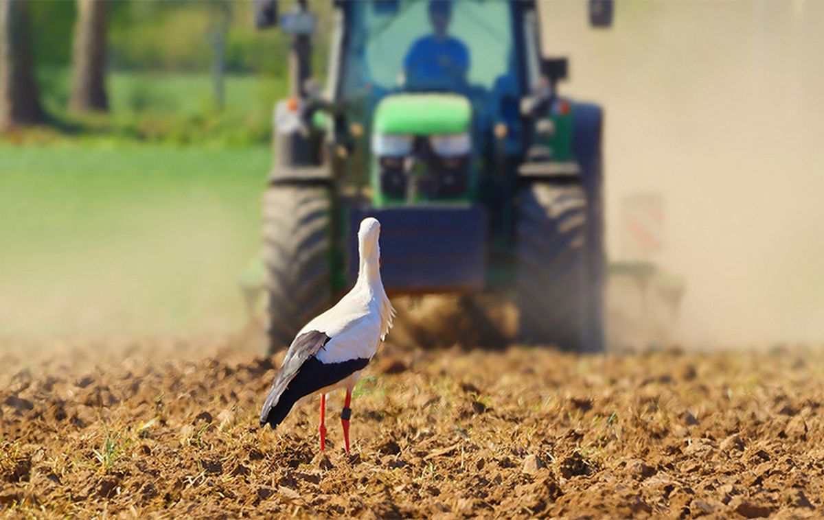 Голова Івано-Франківської ОДА розповіла про пальне, новобудови для переселенців, мультитест для вступників та посівну на Прикарпатті 2