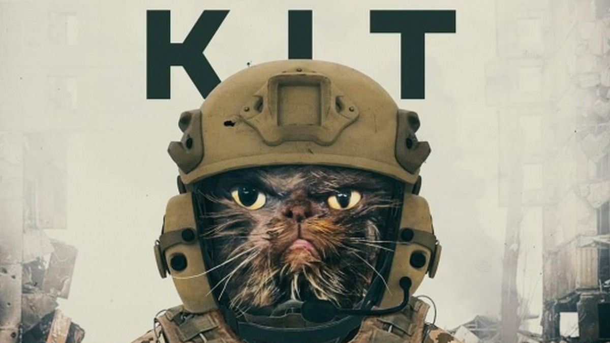 Суворий котисько з Бородянки став символом української незламності