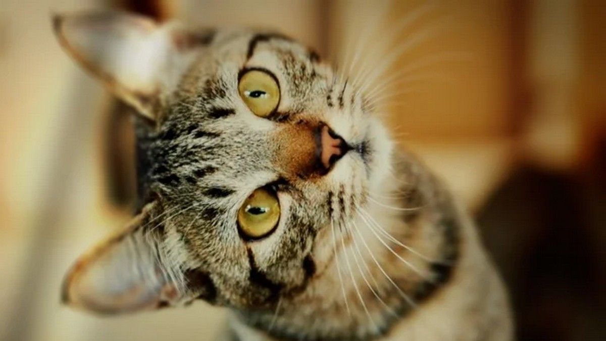 Сила тяжіння | Що з дорожніми знаками в Коломиї?