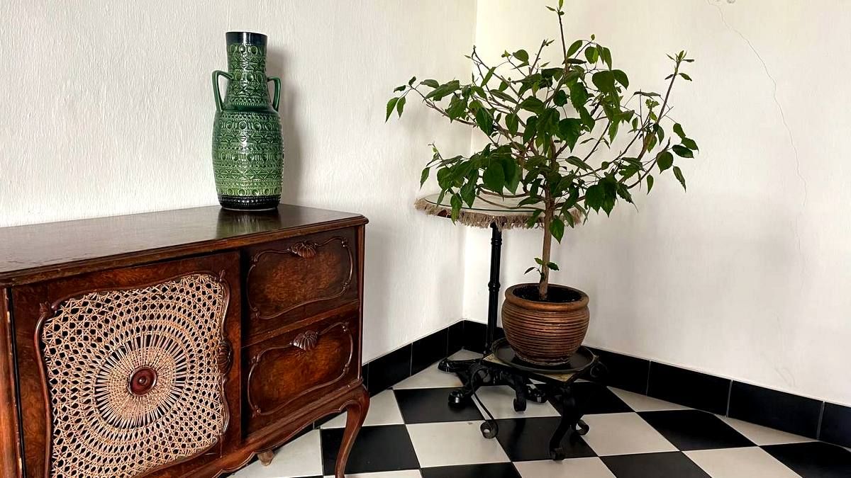 Бульвар з ароматом кави 23