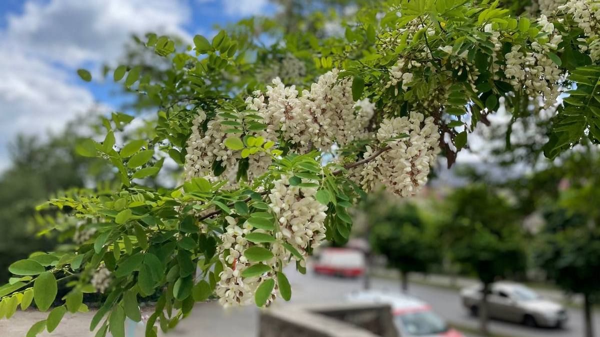 Прогноз погоди на сьогодні у Коломиї