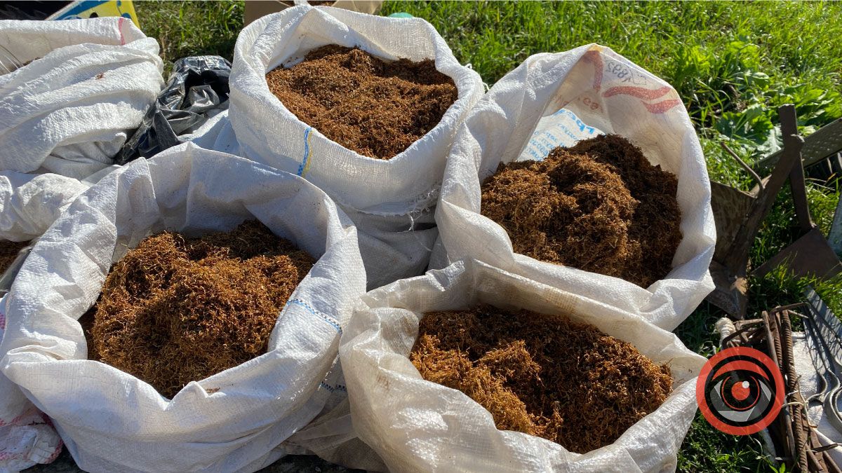 Коломийська Торговиця: мегамаркет просто неба 1