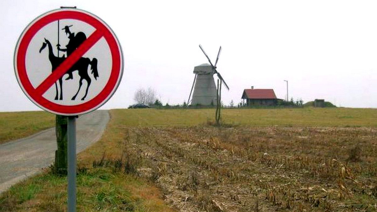 Чим закінчиться боротьба з борщівником в Коломиї?