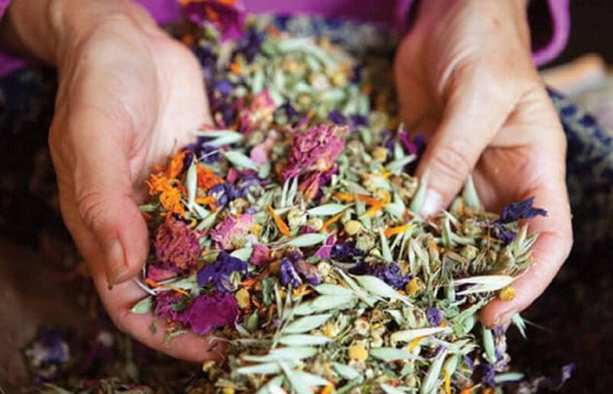 Цей день в календарі: свята та іменинники 14 червня 4