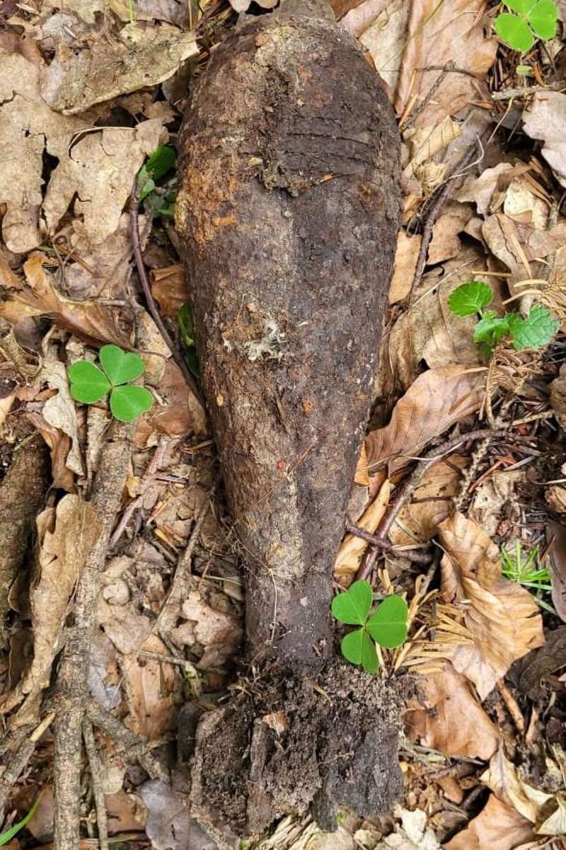 На Коломийщині знайшли міну 1