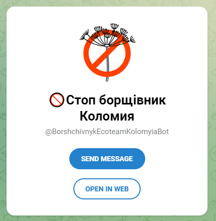 Стоп борщівник: коломийські розробники запустили бот, що фіксуватиме знаходження небезпечної рослини 1