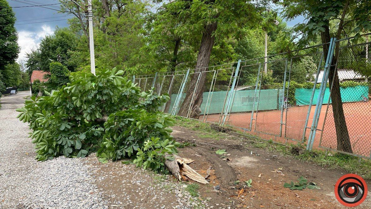 У Коломиї автівка врізалась у дерево 2