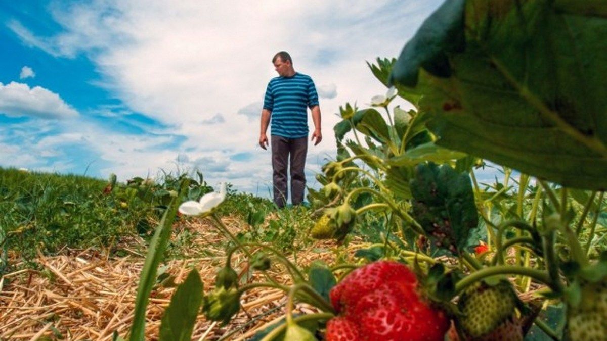 Для переселенців Прикарпаття GIZ пропонує гранти по 3-5 тис євро