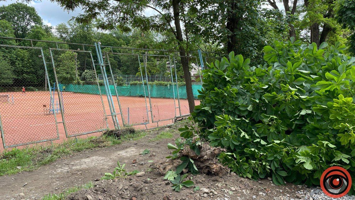 У Коломиї автівка врізалась у дерево 1