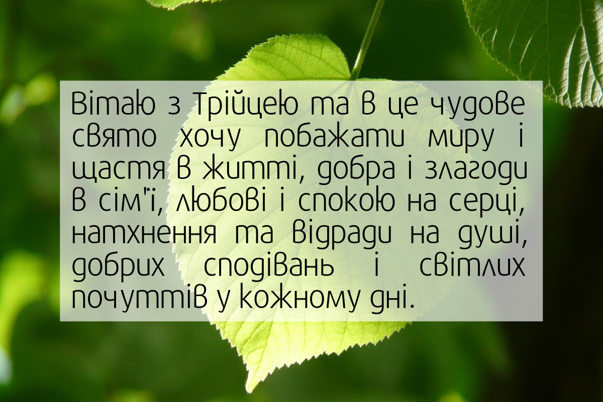 Привітання з Трійцею у прозі та віршах 2