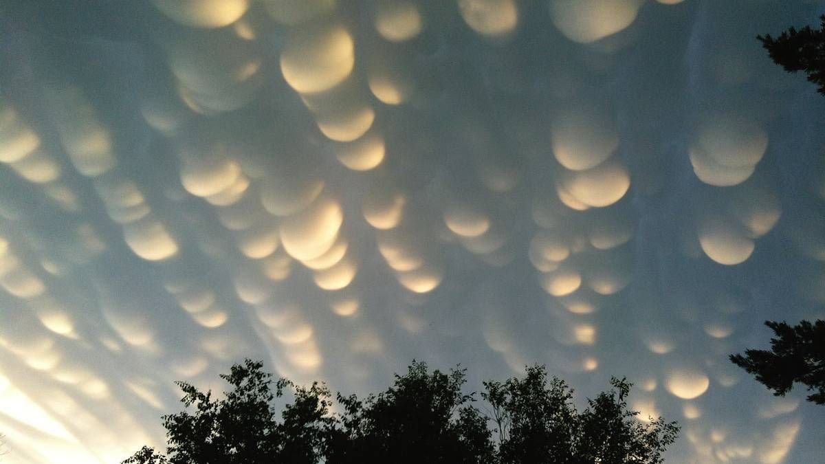 3 червня: прогноз погоди для Коломиї