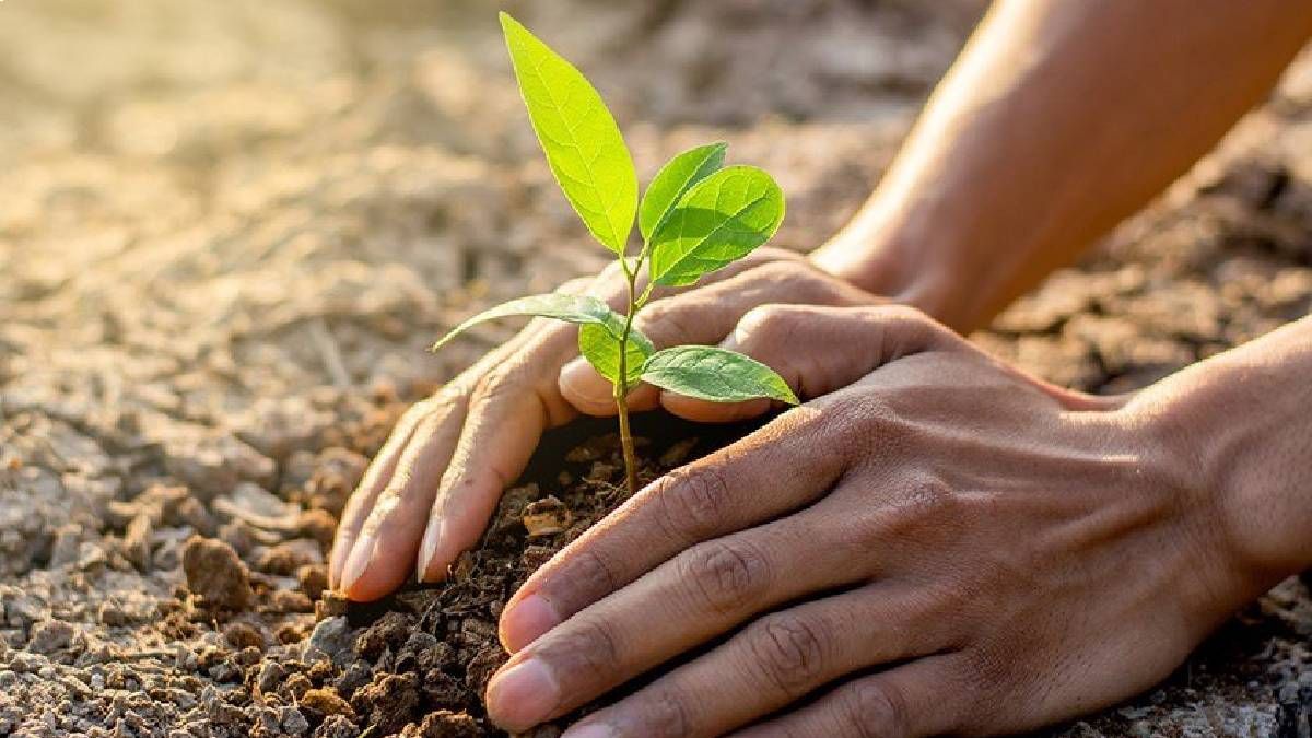 5 червня: свята, визначні події, іменини