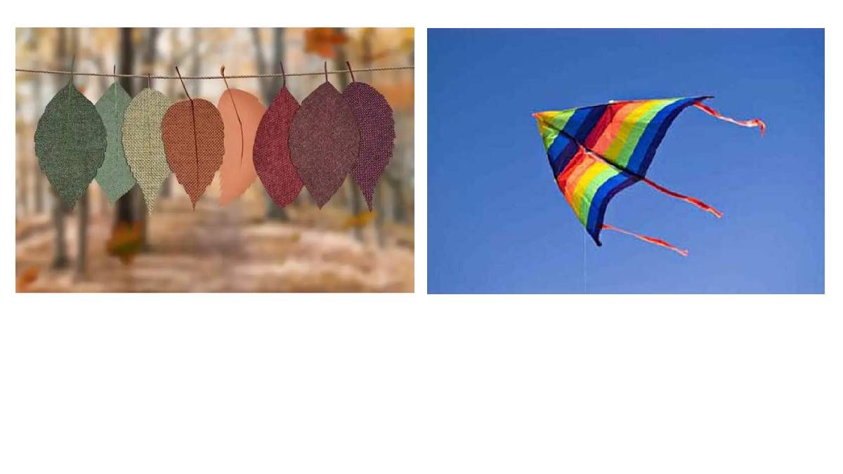 Що не так з повітряними кульками – екоблог 2