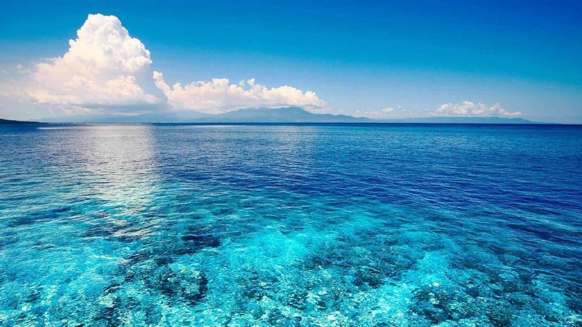 8 червня: свята та іменинники