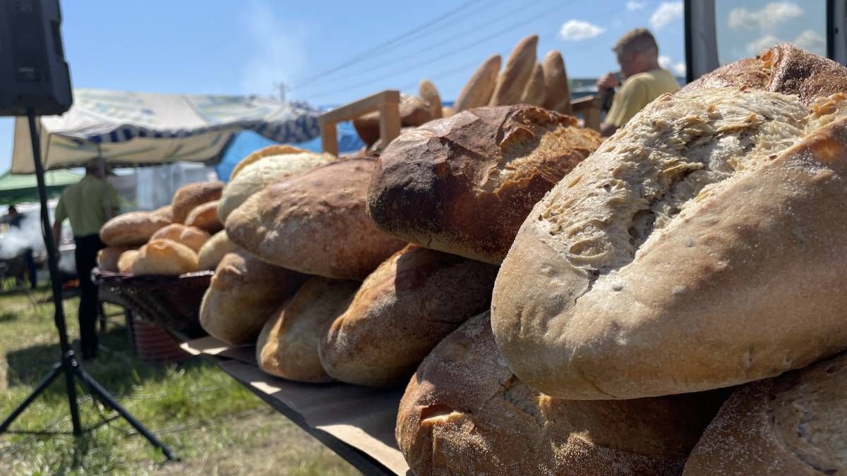 Як минуло благодійне святкування у Королівці | фото та відео 2