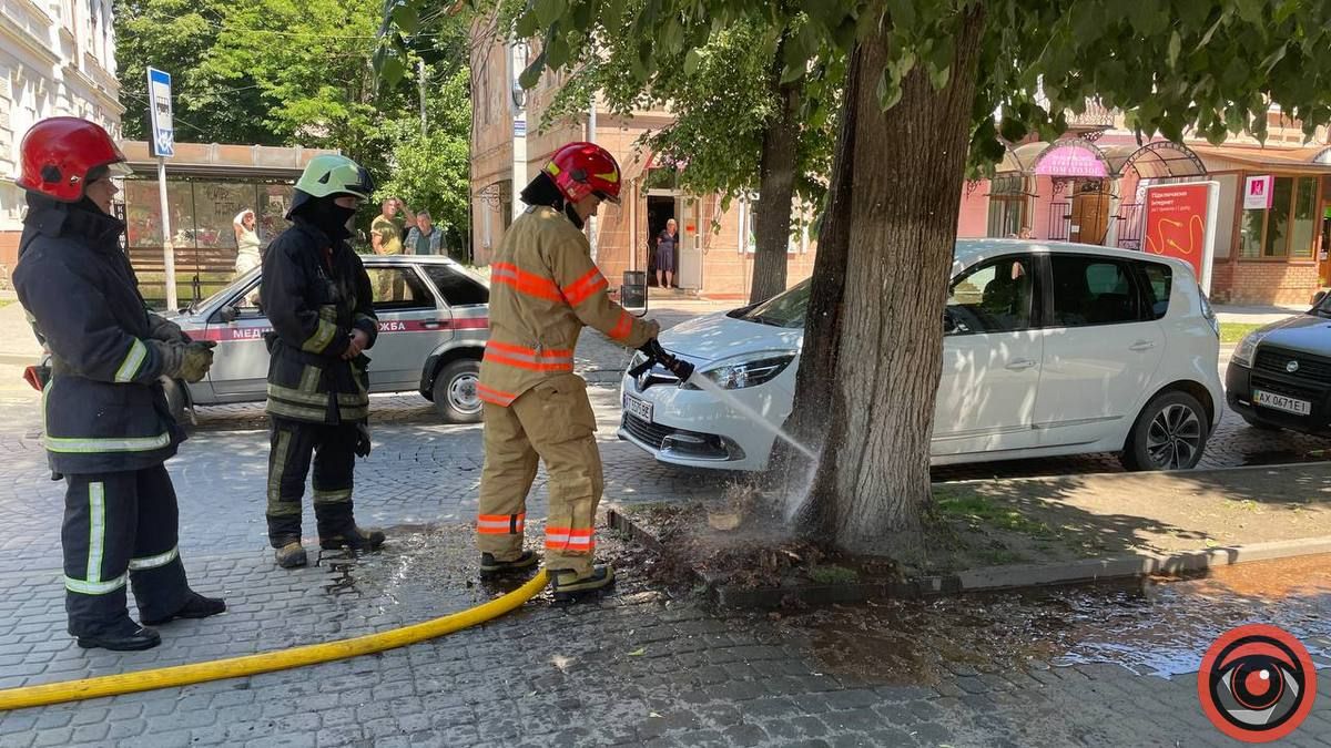 В Коломиї невідомий підпалив на бульварі дерево