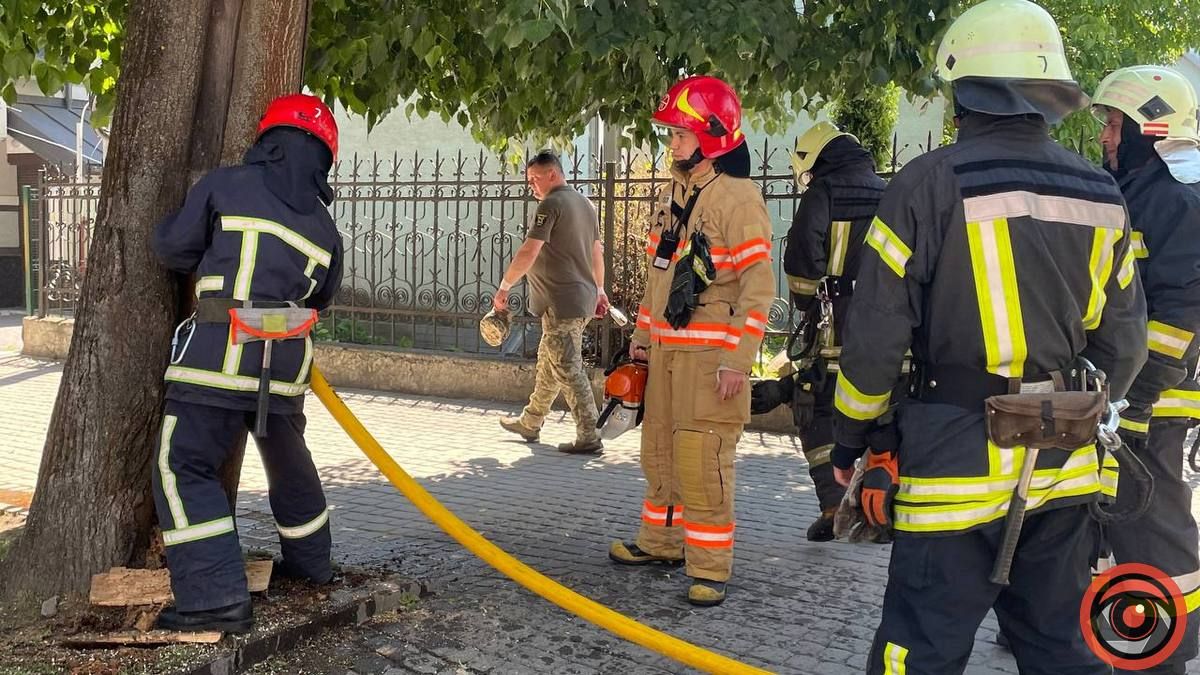 В Коломиї невідомий підпалив на бульварі дерево 3