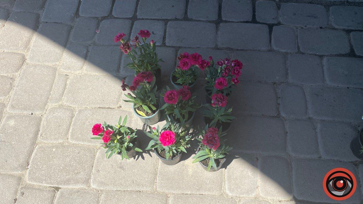 Яка ціна на штучні квіти на базарі в Коломиї та чи можна їх замінити? 5