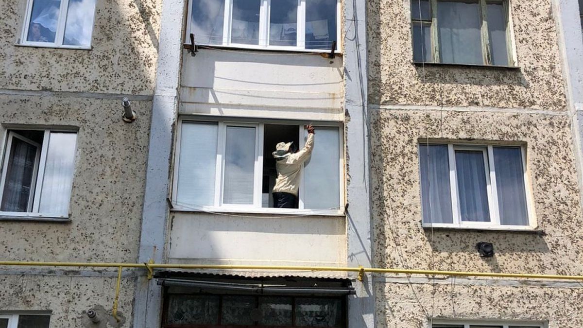 Через осине гніздо у Коломиї викликали рятувальників