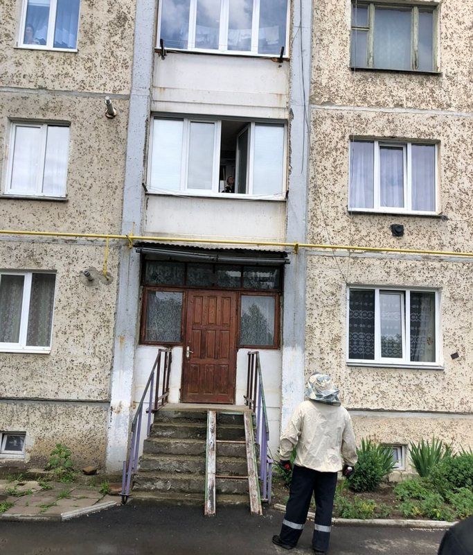 Через осине гніздо у Коломиї викликали рятувальників 1