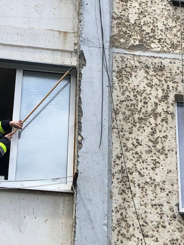 Через осине гніздо у Коломиї викликали рятувальників 2