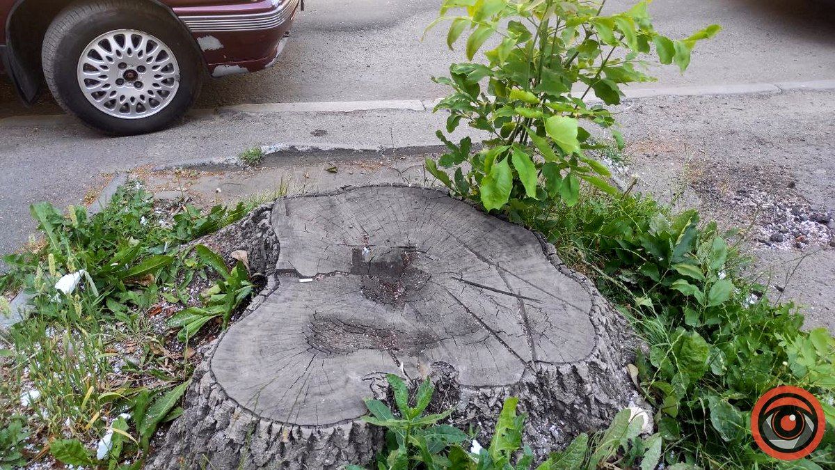 Вулиця Шухевича в Коломиї: контрасти 7