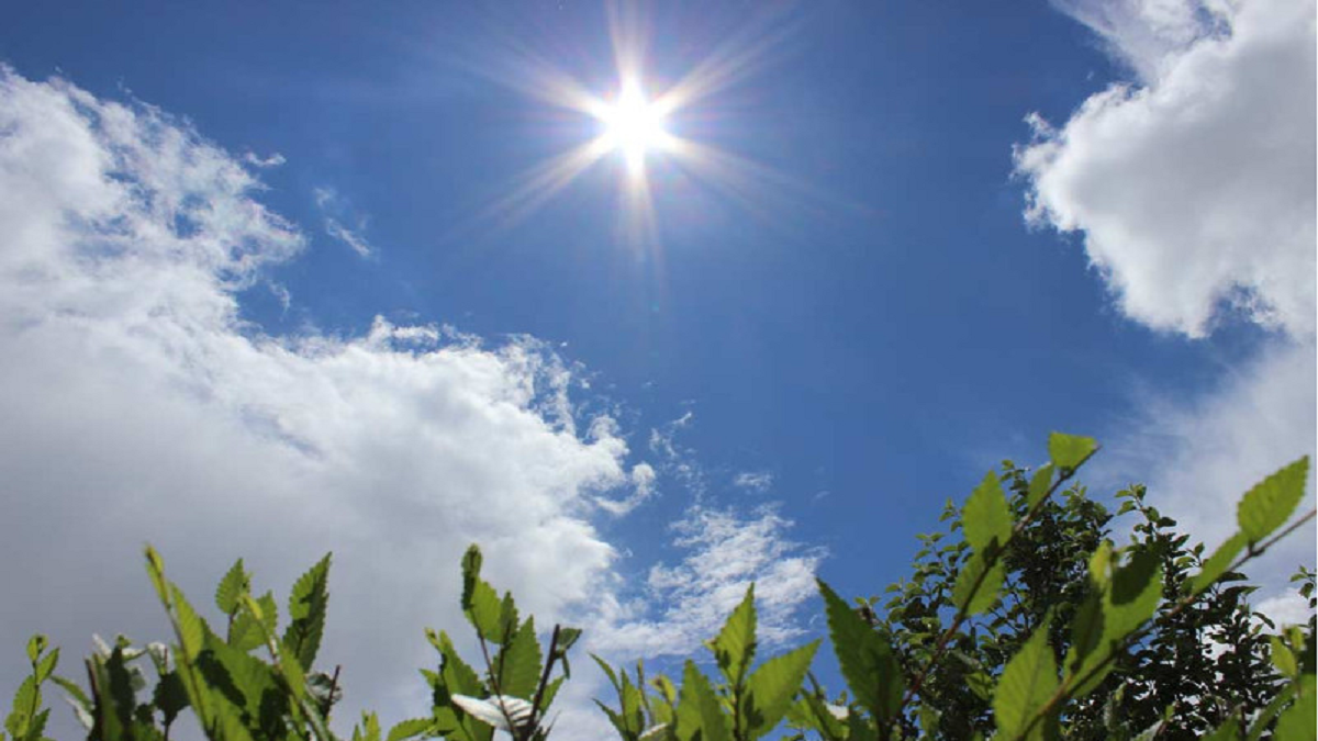 22 червня. Яка погода чекає коломиян
