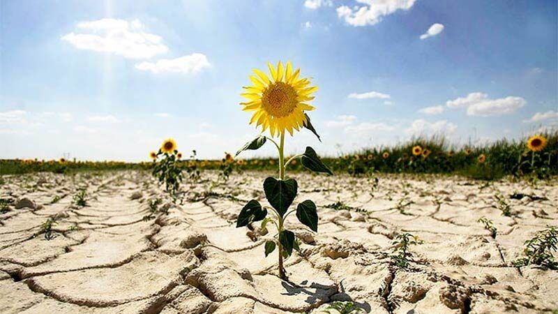 17 червня: свята, іменини та прикмети 2