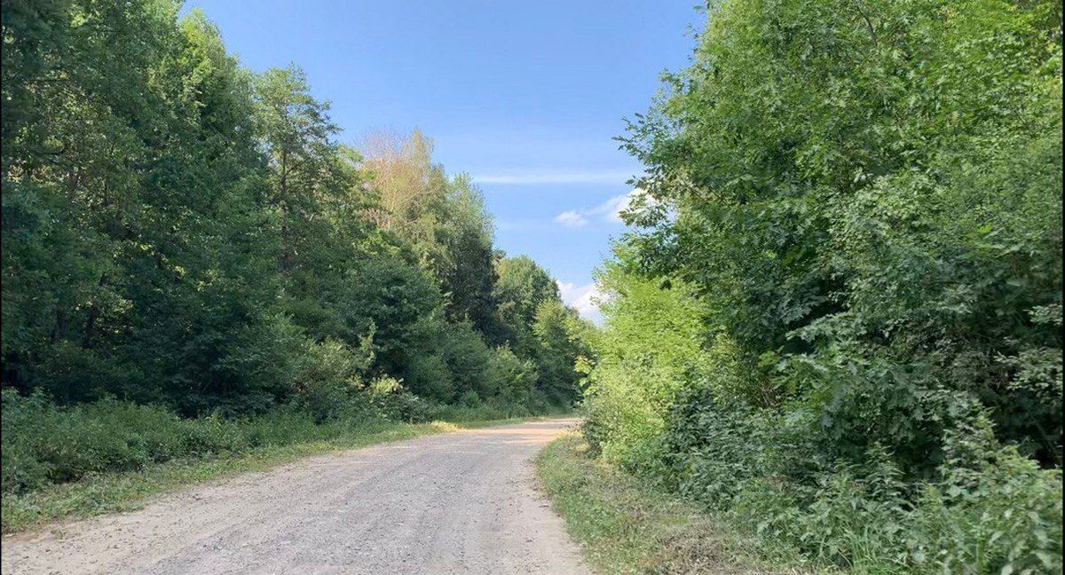 Відпочинок поряд | Ґаздовитий Коршів 1