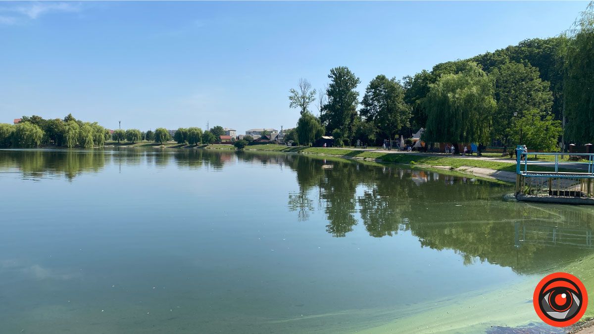 Що треба змінити на міському озері? 1