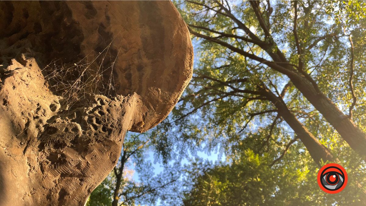 Парк, яким він не мав би бути. Чого вимагають коломияни 6