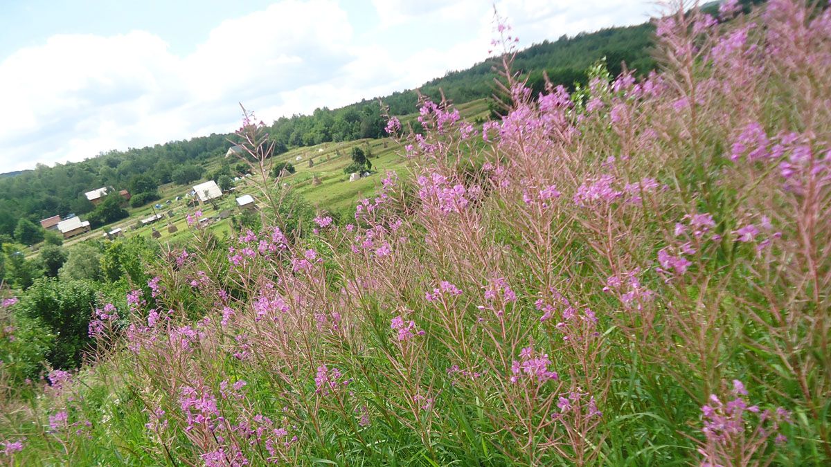 7 липня - який сьогодні день, свята та цікаві факти 3