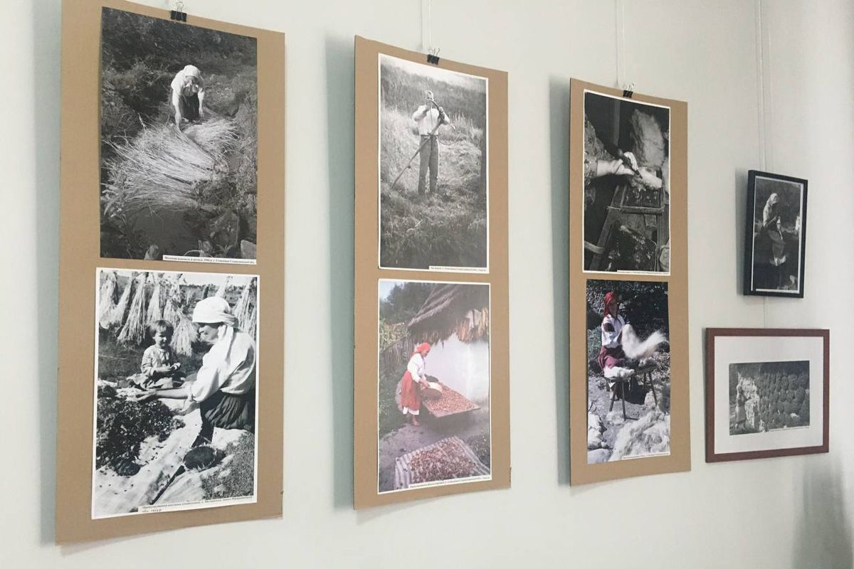 Мочання конопель, сушіння маку - чим ще займалися гуцули півстоліття тому? 2